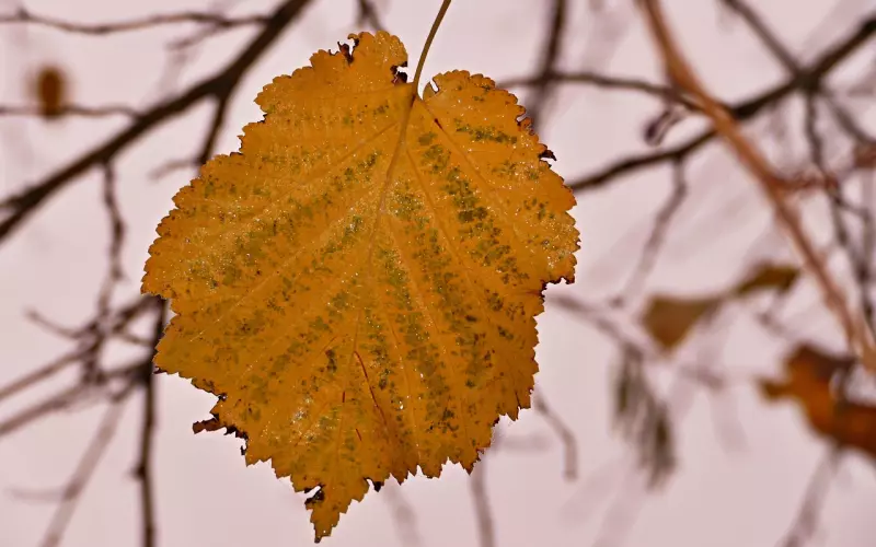 情感咨询：挽救婚姻的一封信