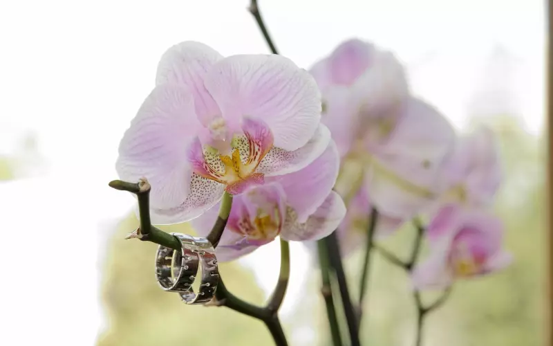 情感咨询：结婚后却感觉是自己在过日子，每次吵架都是我妥协