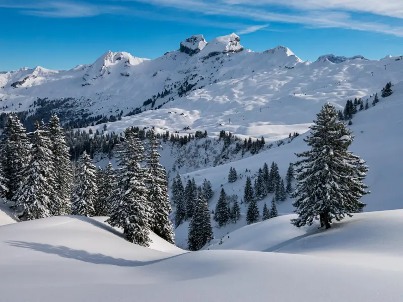 情感咨询：内在改造的有效方法