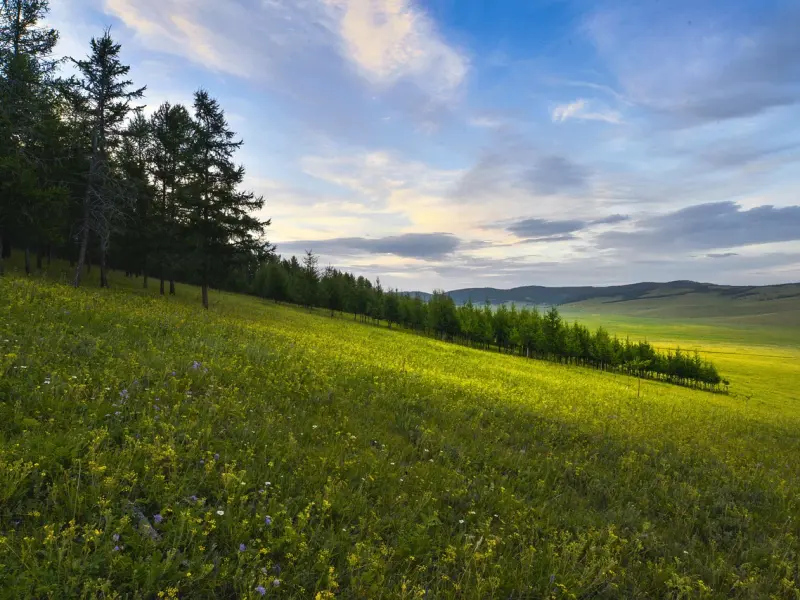 情感咨询：警惕男人变心的7个征兆，及早发现及早挽回