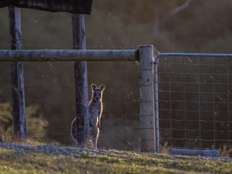 情感咨询：巨婴心理让婚姻不幸福！