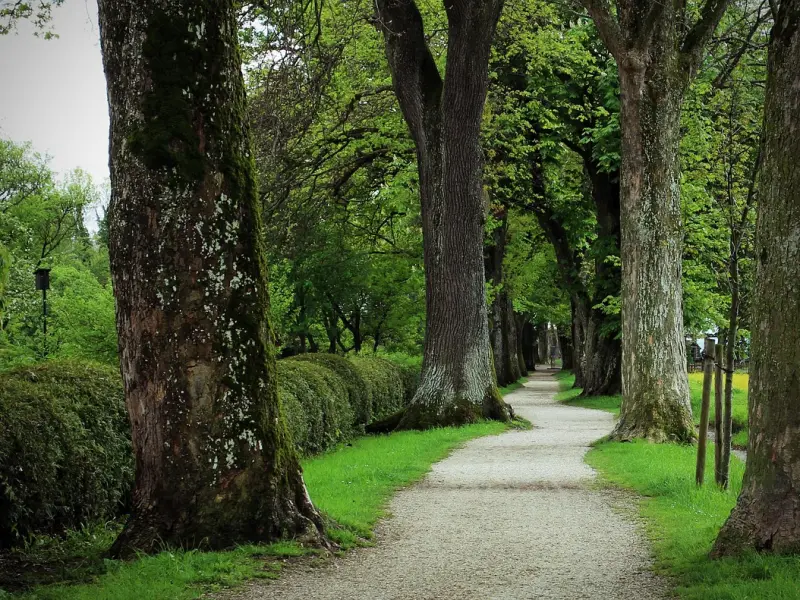 情感咨询：分手后双方都想和好，该怎么缓...
