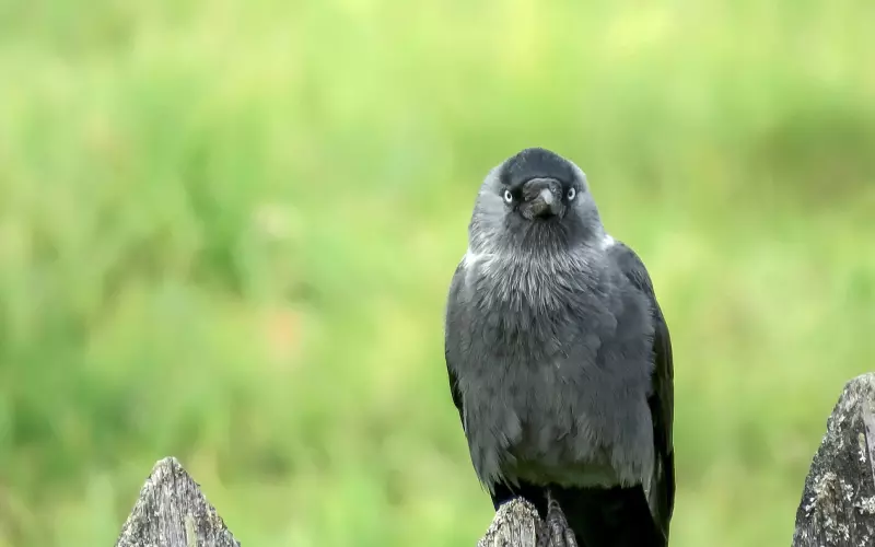 情感咨询：每次吵架就提分手，学会管理冲突挽回男友