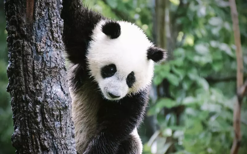 情感咨询：解除婚姻，你能否承担风险？