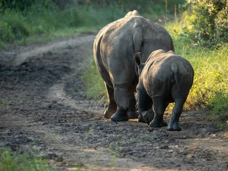 情感咨询案例：跟女友分手后还能在一起吗？