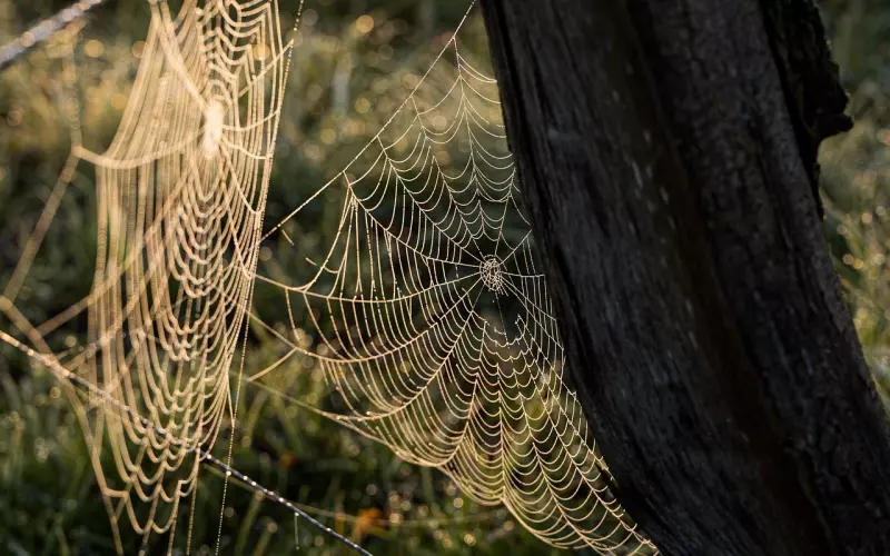 情感咨询案例：老婆离家出走联系不到，我该怎么做？