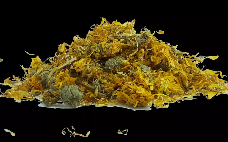 情感咨询案例：和男友开玩笑开大发了，如何补救？