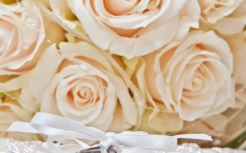 情感咨询案例：老婆结婚前有过性行为，内心无法接受，该如何调整心态？