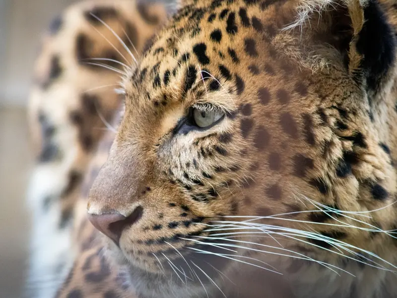 情感咨询案例：男友父母婚姻不美满使我恐惧，我该继续跟他走下去吗？