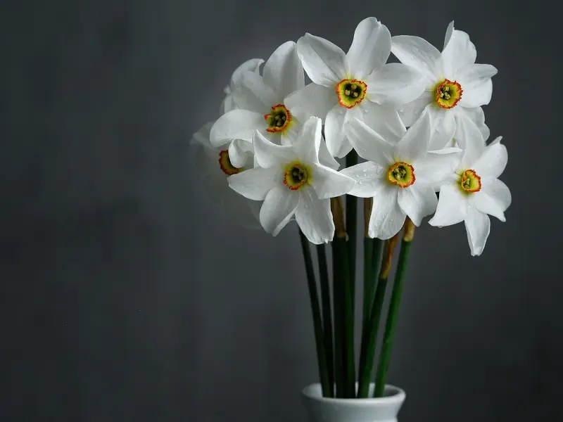 情感咨询：挽回爱情的核心方法