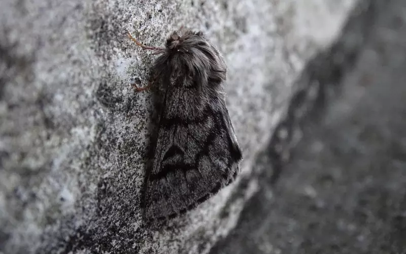 情感咨询：挽回中容易被忽视的细节