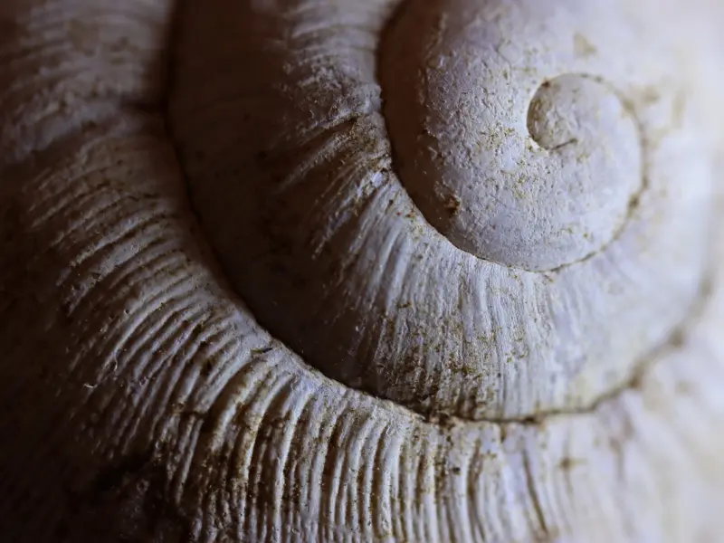 情感咨询：前男友还爱你的细节表现