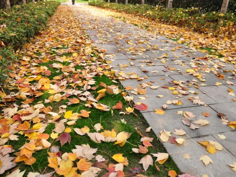 情感咨询：挽救婚姻，你是否做对了？