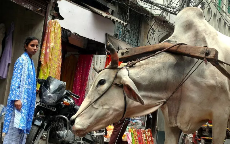 情感咨询：婚外情诉讼举证难