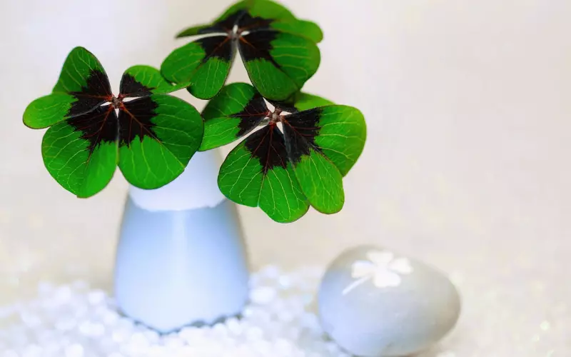 情感咨询：挽回爱情做到这四点让你魅力倍增