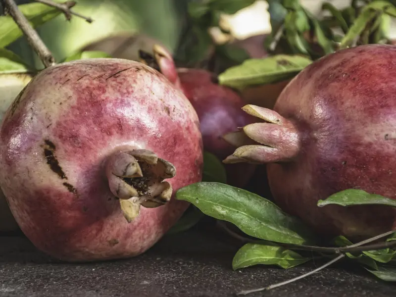 情感咨询：你不要误会，我们真的只是朋友