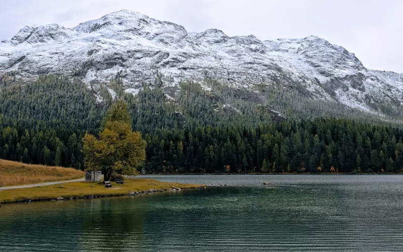 情感咨询：在挽回里不要总是去“乞求”对方