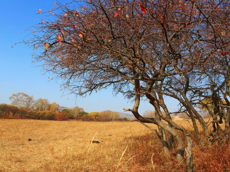 情感咨询：挽回男友的心，千万不要这样做!
