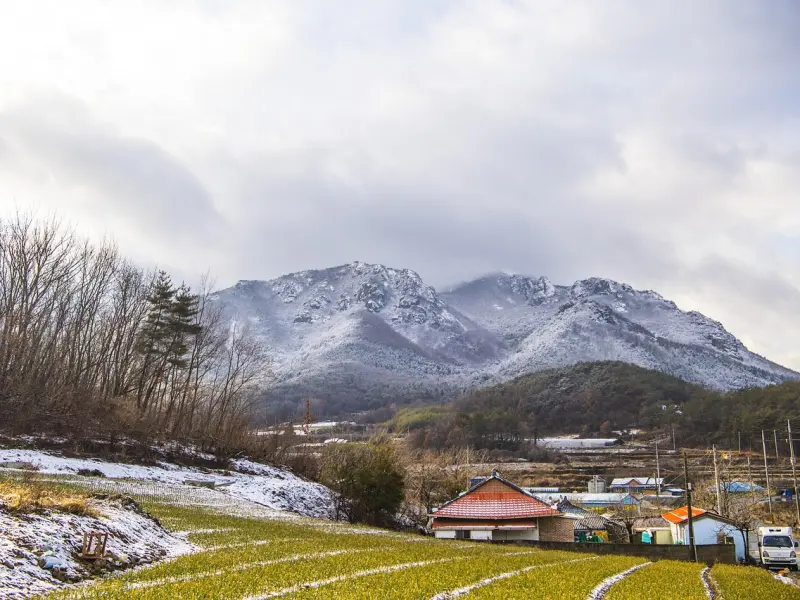 情感咨询：幸福婚姻的八个法则