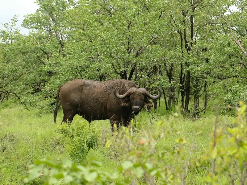 情感咨询：让男人离不开你的五大技巧