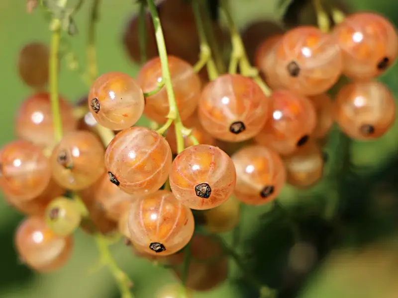 情感咨询：婚姻中不可抗因素