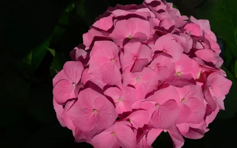 情感咨询：从这一点，判断你们还有没有可能