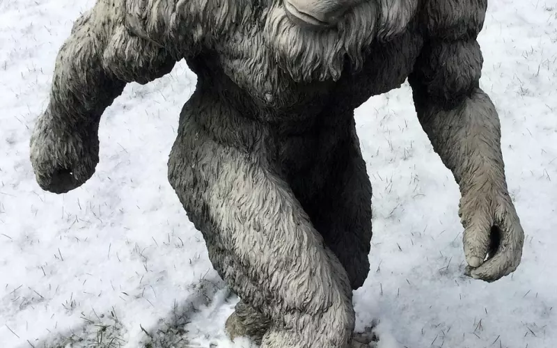 情感咨询：男友的隐性特质