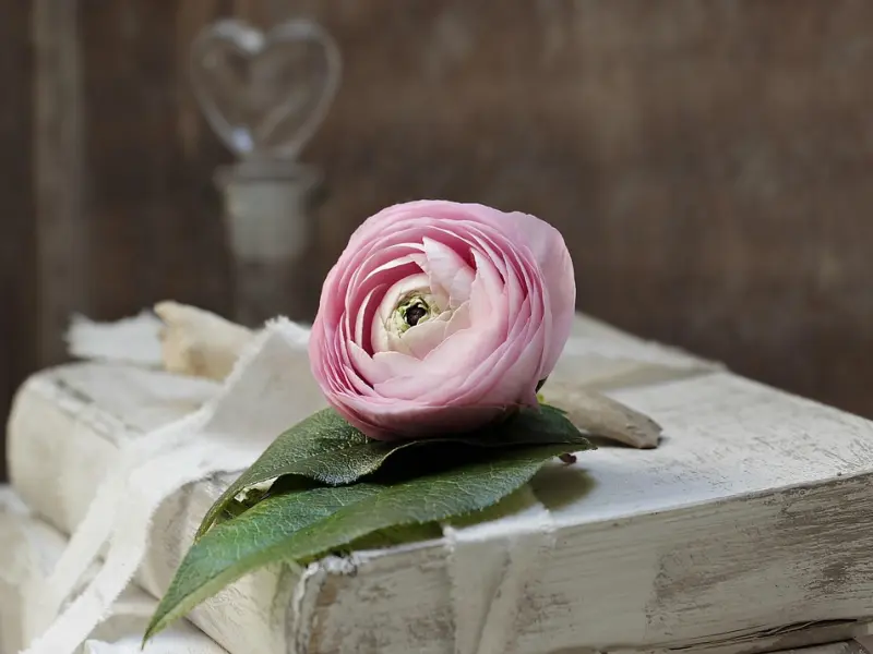 情感咨询：如何用浪漫挽回女友