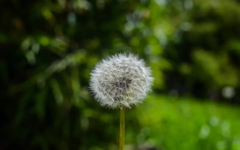 情感咨询：分手后如何高段位挽回前男友？