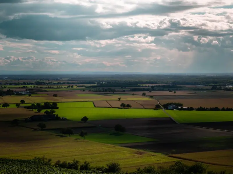 情感咨询：分手后该如何挽回？