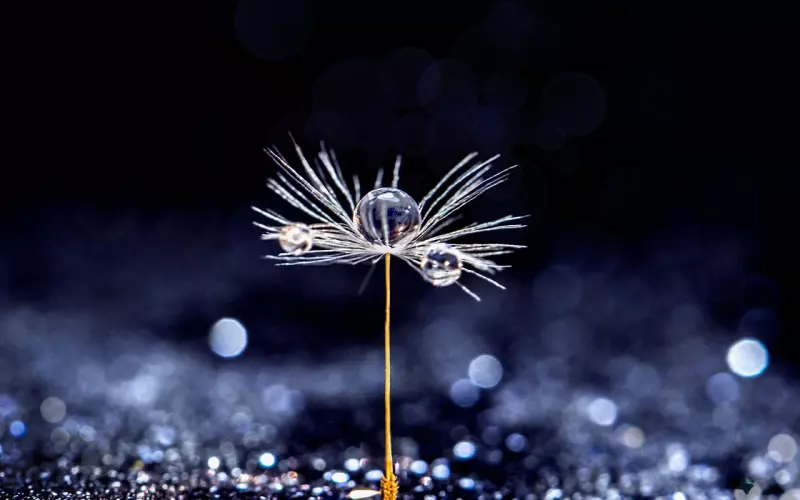 情感咨询：如何让男友放下前女友呢？