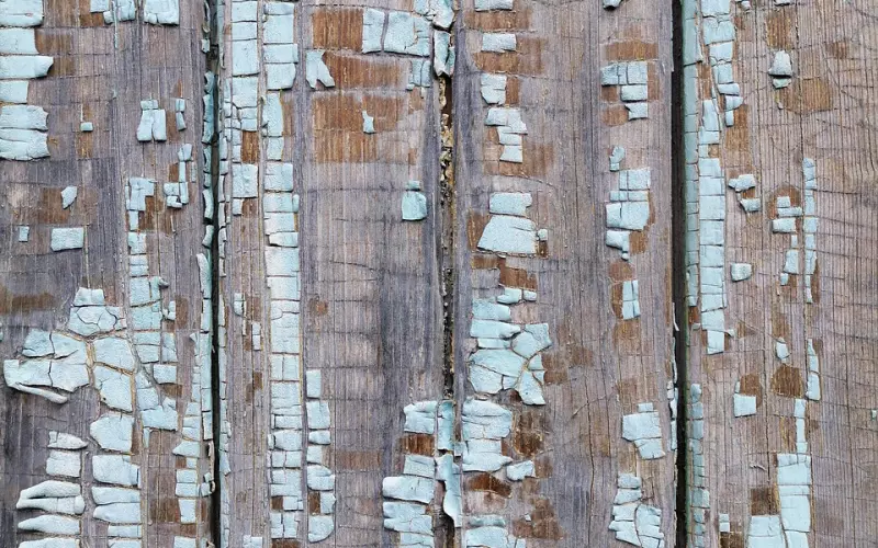 情感咨询：如何破解高攀的弊端，稳固爱情？