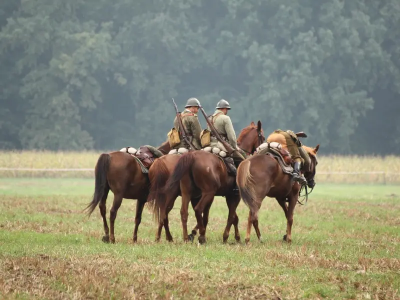 情感咨询：夫妻如何重建信任感？