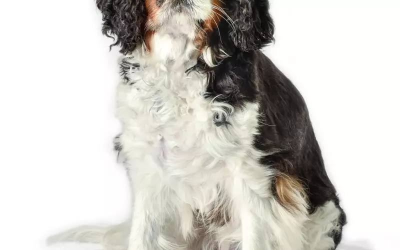 情感咨询：聪明的女人怎么挽回老公的爱？