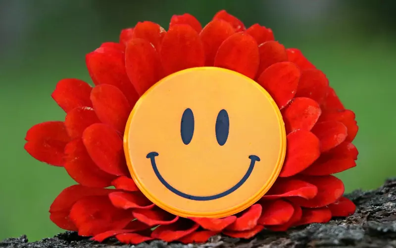 情感咨询：如何编写挽回老公的短信