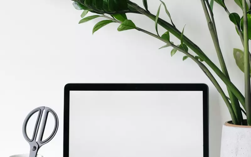 情感咨询：老公出轨该如何挽回？