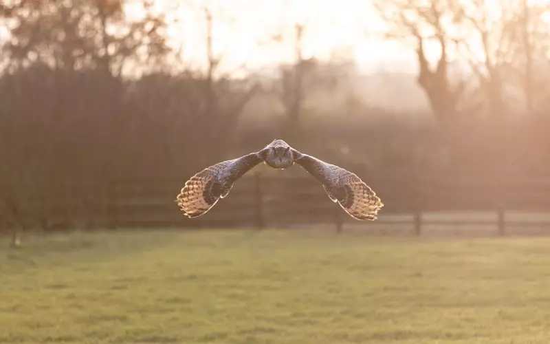 情感咨询：短择如何转化为长择？