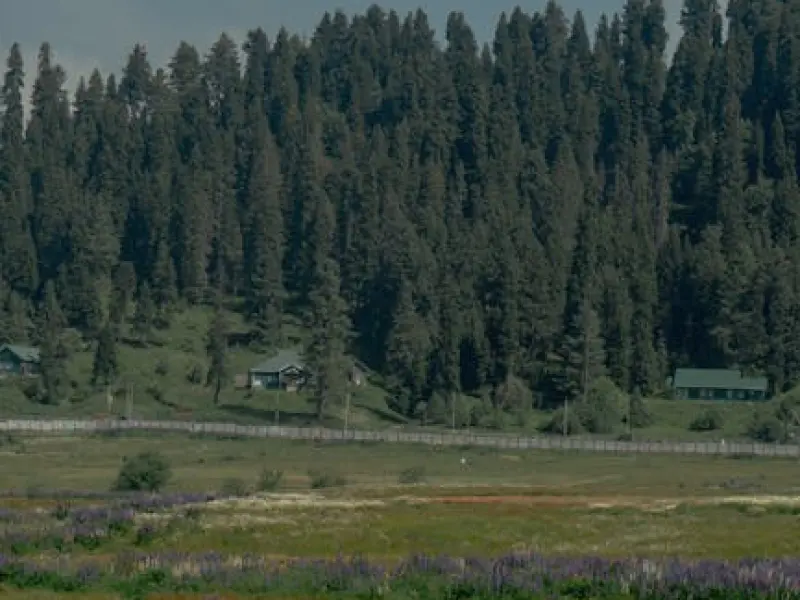 情感咨询：伤了老公的心要怎么挽回