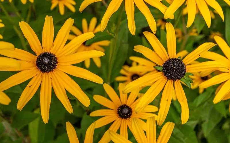 情感咨询：如何防止红颜知己演变为婚外情