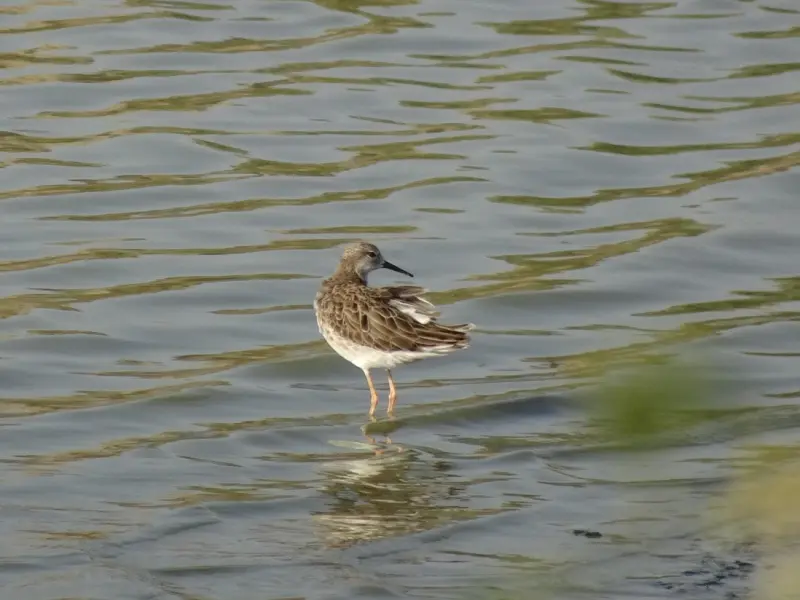 情感咨询：如何让男友更加疼爱我？并且增大对我的投资？