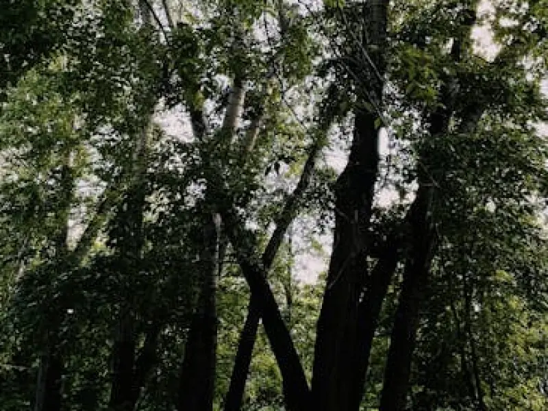 情感咨询：老公想离婚该如何挽回？