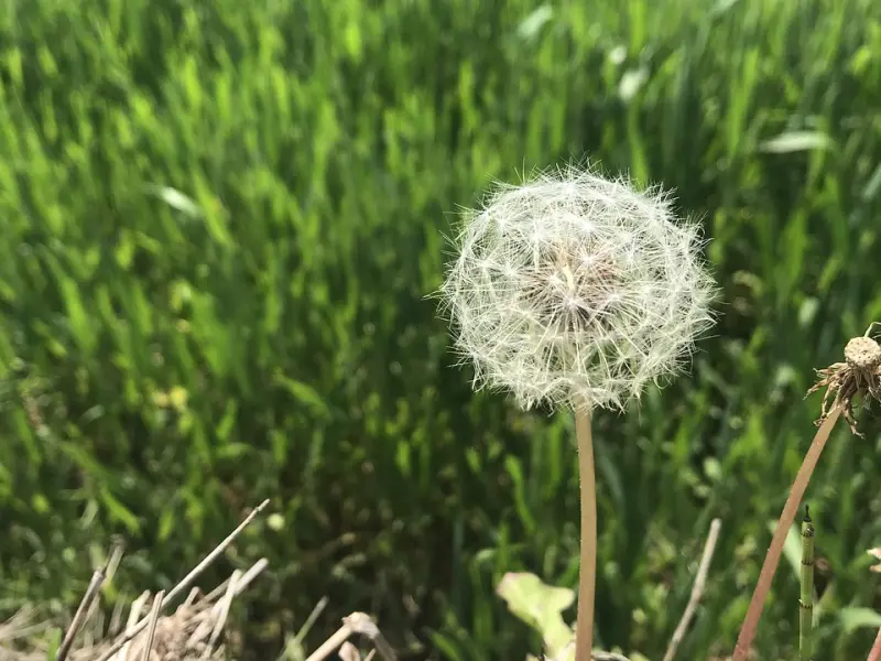 情感咨询：如何防止自己的男人出轨