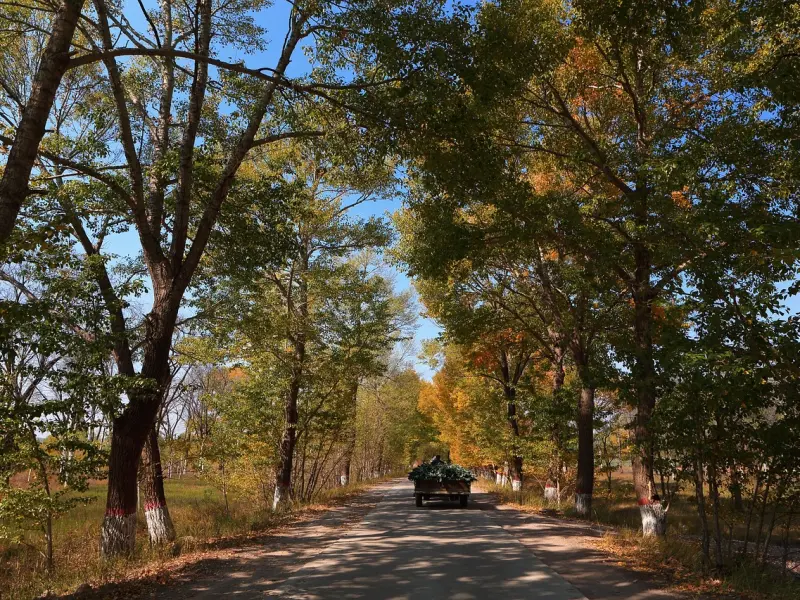 情感咨询：离婚边缘的女人如何拯救婚姻？
