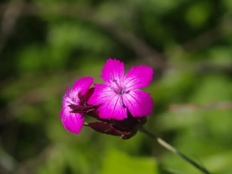 情感咨询：如何判断男友的行为是不是真爱？