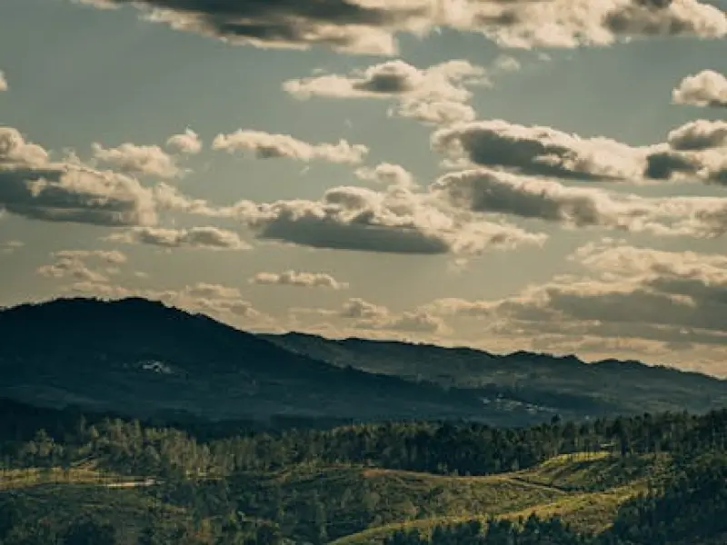 情感咨询：如何拯救婚姻