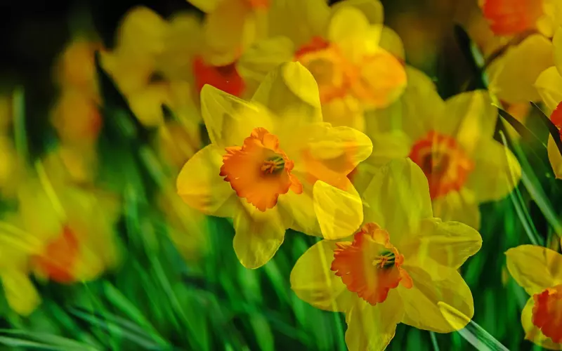 情感咨询：如何挽回多次出轨的老公？