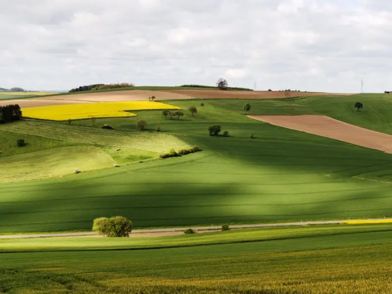 情感咨询：怎样挽回一个不再爱你的人