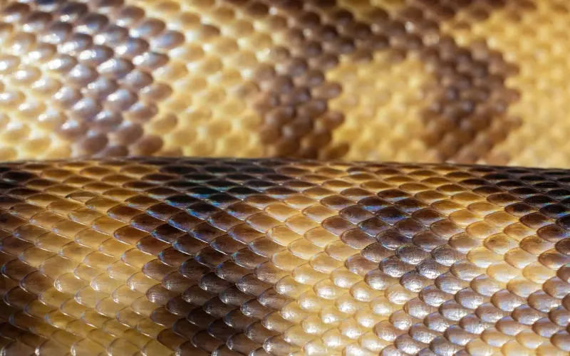 情感咨询：我要怎样脱离家庭的束缚