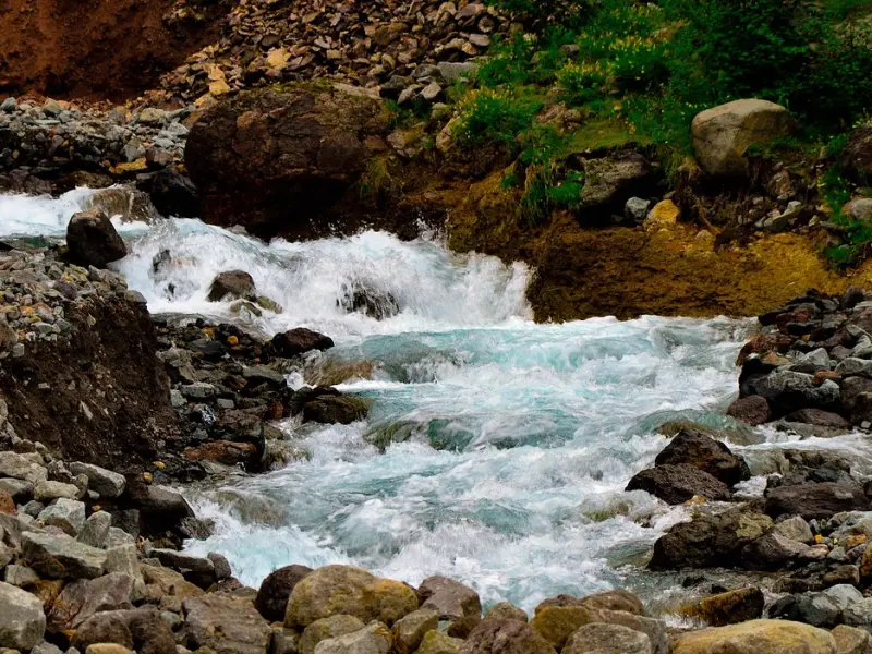 情感咨询：奉子成婚 婚姻关系破裂该怎么挽回？