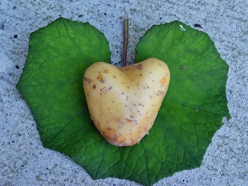 情感咨询：我该如何挽回老公的心？